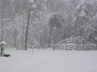 IMG_0017.jpg