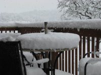 Snow2-11-2010-05.jpg