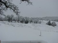 Snow2-11-2010-09.jpg