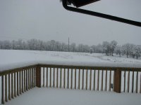 Snow2-11-2010-10.jpg