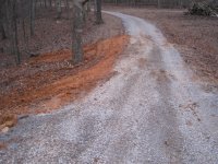 IMG_2918.JPG