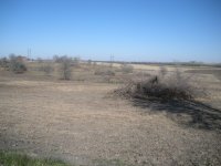 DSCN0948.JPG