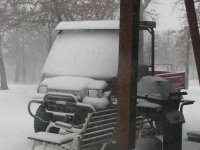 White-in-TX-02.jpg