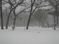 White-in-TX-04.jpg