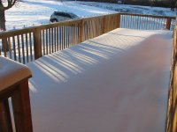 White-in-TX-14.jpg