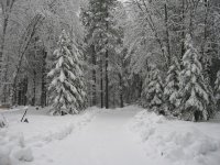 2008 snow.JPG