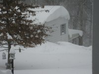 IMG_2924.JPG