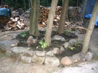 rock garden1.jpg