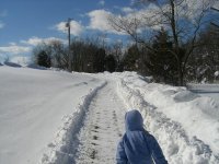 CIMG0066.JPG
