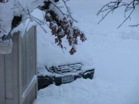 Snow2-12-2010-01.jpg