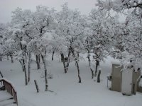 Snow2-12-2010-02.jpg