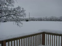 Snow2-12-2010-05.jpg