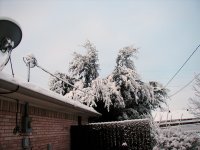 snow2122010 016.JPG