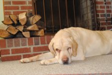 by fireplace.jpg