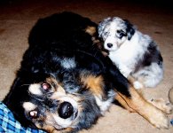 Hoss n Holly.JPG