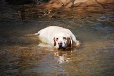 home in water.jpg