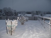 IMG_1457.JPG