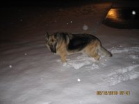 IMG_1442.JPG