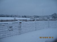 IMG_1466.JPG