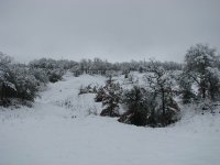 SnowTour-04.jpg