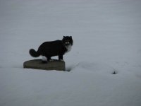 SnowTour-10.jpg
