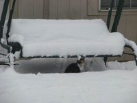 SnowTour-11.jpg