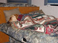 Camping may 2007 021.jpg