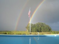 Rainbows.jpg