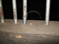 IMG_1055_1.jpg