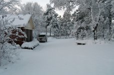 Snowfall Feb 12 to 13 2010 026.jpg