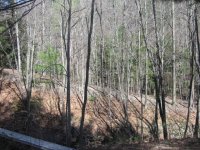 IMG_4411.JPG