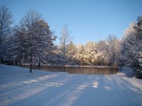 DSC05650.jpg