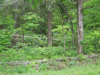 100_2922.jpg