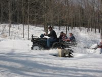 Tapping%20Trees%20018[1].JPG