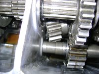 DSC01022.JPG