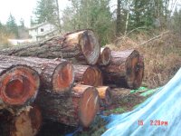 logs 002.jpg