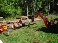 KiotiWoodWood 002.JPE