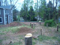 New Yard 2010 009.jpg
