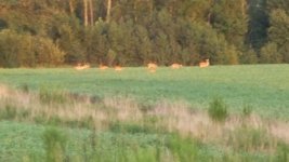 100_1837.JPG