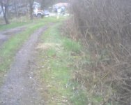 Mar15_0002.jpg