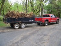 New Yard 2010 036.jpg