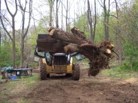 New Yard 2010 041.jpg