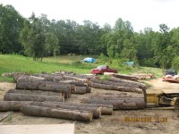 2008_0816AK.JPG