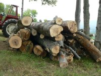 Firewood 2009 025.jpg