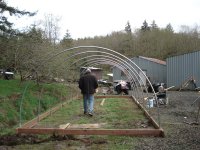 greenhouse 1.jpg