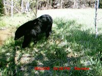 MDGC0133.JPG