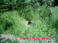 MDGC0261.JPG