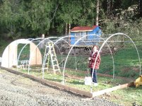 greenhouse 012.jpg
