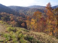 Bearpen Fall 05 009.jpg