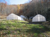 Bearpen hoop houses.jpg